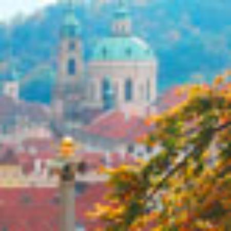 Tayal Sweets & Bakery